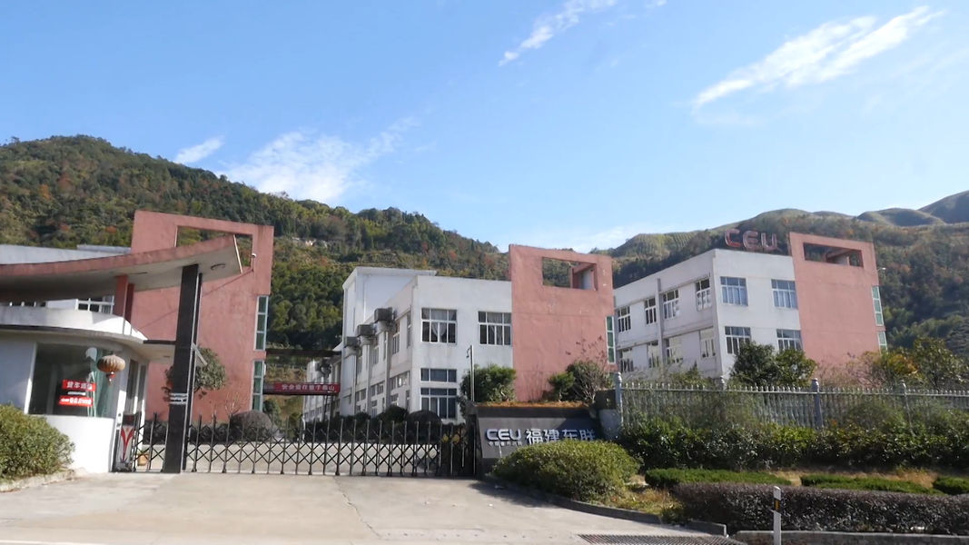 FUjian Donglian Vehicle Fittings Co., Ltd.